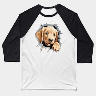 Baby Golden Retriever Dog Peeking Baseball T-Shirt